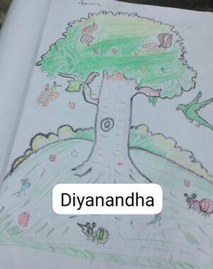 42431-TVM -KUNJ-Diyanandha.jpeg