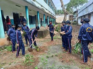 44021 ncc gardening 2.jpg