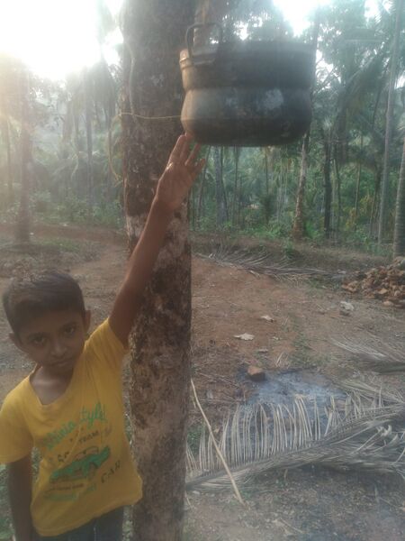 പ്രമാണം:47089 parava10.jpeg