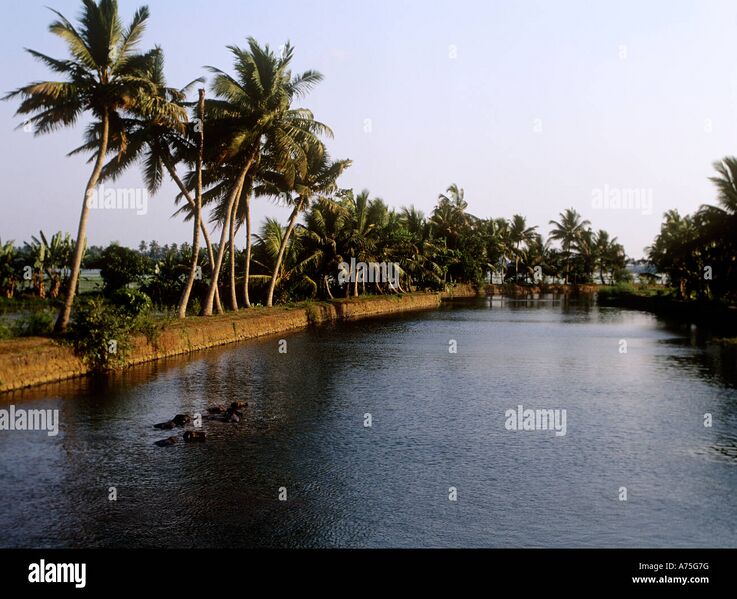 പ്രമാണം:Backwaters-of-kavalam-in-alleppey-kerala-A75G7G.jpg