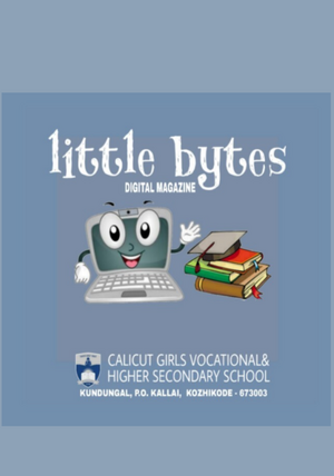 Little bytes.png