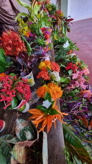 PUSHPOLSAVAM 2025 2.jpg