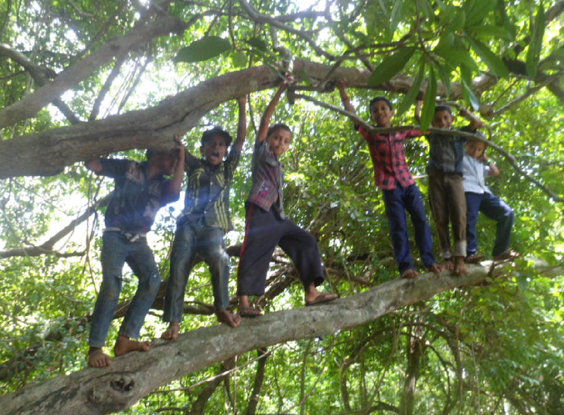 പ്രമാണം:Screenshot from 2022-02-07 12-57-53.png