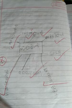 11433-KUNJ-KGD-ZAINABATH AMNA.jpg