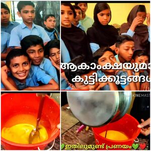 14871 2022 work experience 3.jpeg