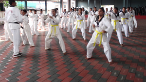 21001 taekwondo1.resized.png