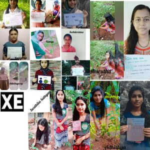 24071 ENVIRONMENT DAY76.jpg