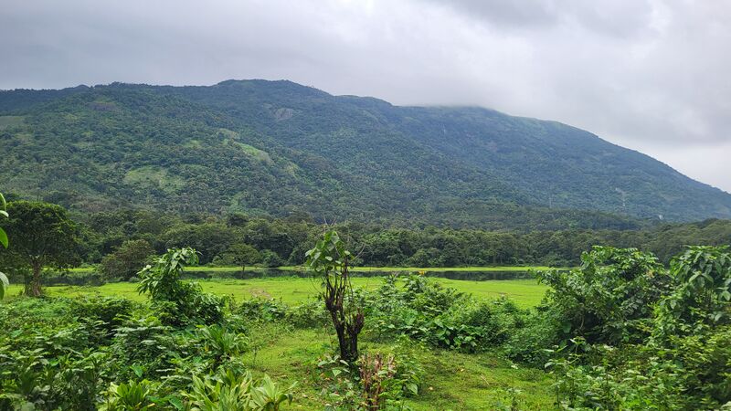 പ്രമാണം:29228 6g.jpg