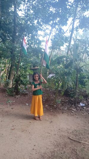 44055 Azadiflag1y.jpeg