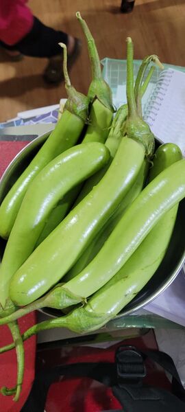 പ്രമാണം:47037 ORGANIC FARMING 3.jpg