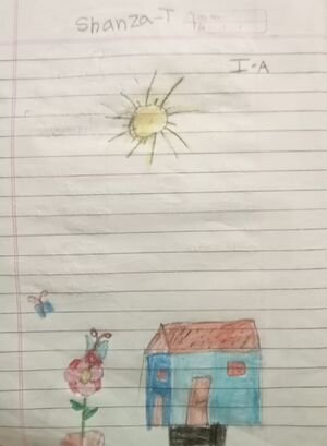 48503-MLP-KUNJ-SHANSA T.jpeg