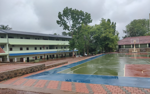 BS25 MLP 48046 1.png