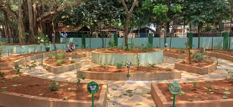 പ്രമാണം:12036 butterfly park 2026 3.jpg