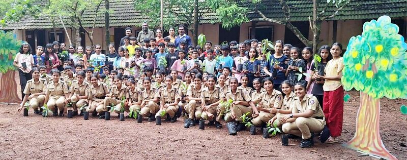 പ്രമാണം:12070 spc tree.jpg