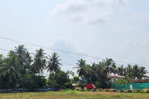 13034 kottila gramam.jpg