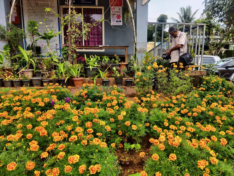 പ്രമാണം:15088 haritha campus 2025 3.jpg