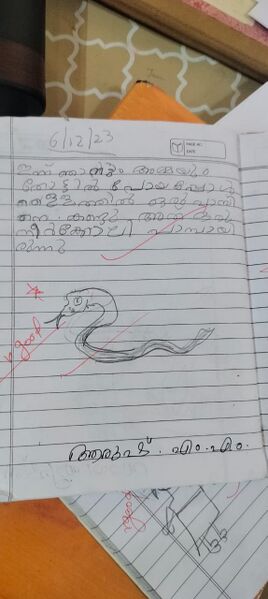 പ്രമാണം:15450-WYD-KUNJ-AARUSH M M.jpeg