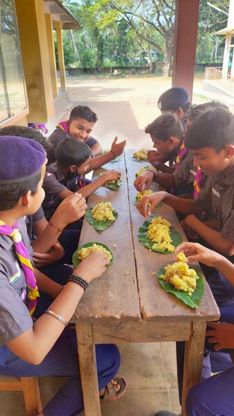 പ്രമാണം:19026 scout 2.jpeg