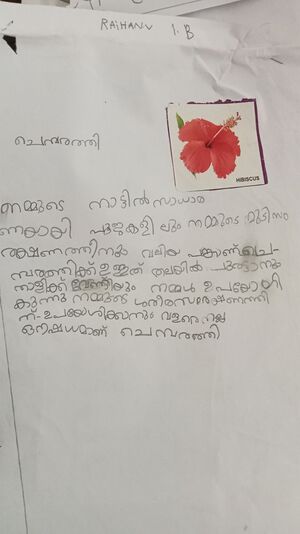 19412-MLP-KUNJ-RAIHAN 1 B.jpg