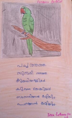 19866-MLP-KUNJ-FILZA FATHIMA PK.jpg