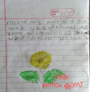 21413-PKD-KUNJ-NIYA R.jpg