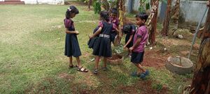 25044 Oshadhathottam-3.jpg