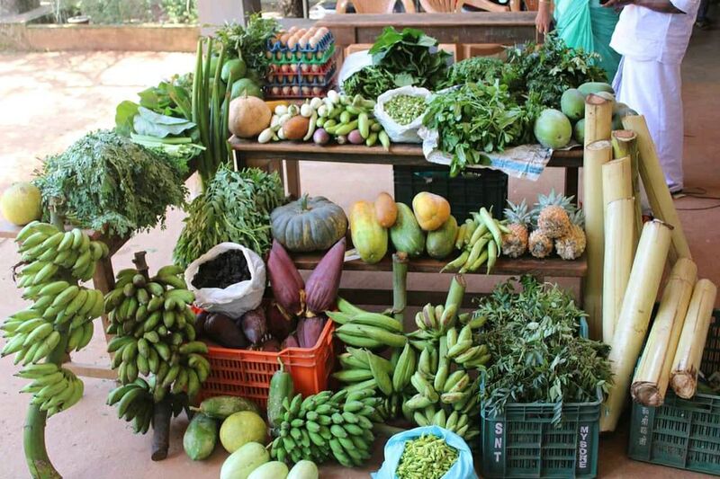 പ്രമാണം:29032 822.jpg