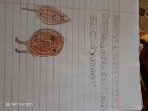 31469-KTM-KUNJ-MIDHUN N R.jpg