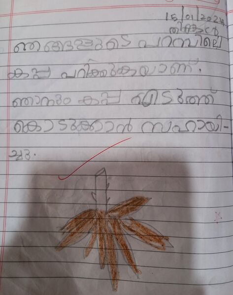 പ്രമാണം:33242-KTM-KUNJ-AADAV D NAIR.jpg