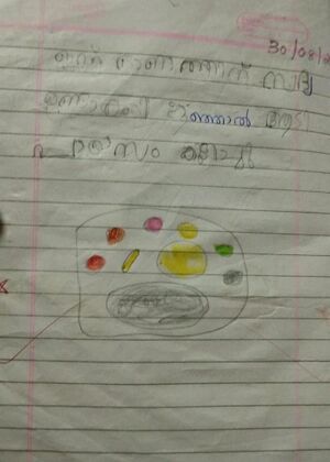 40201-KLM-KUNJ-MUHAMMED ASHIK.jpg