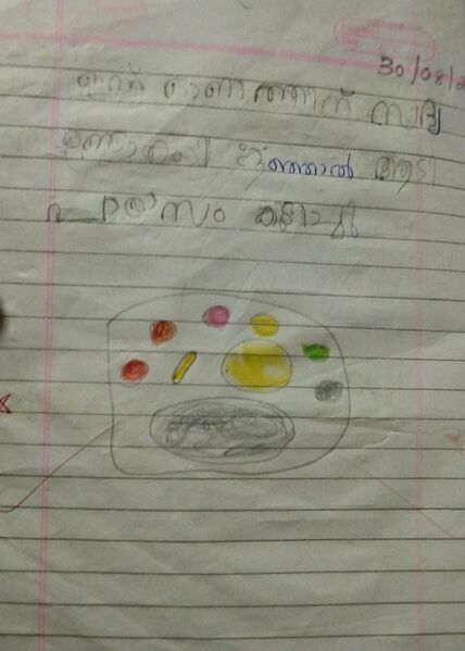 പ്രമാണം:40201-KLM-KUNJ-MUHAMMED ASHIK.jpg