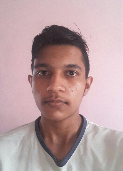 പ്രമാണം:42034 sreehari.jpeg