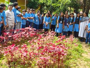 43252 adukkalathottam 2.jpeg