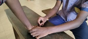 44011 School Parliament Election 2024-25 2.jpg