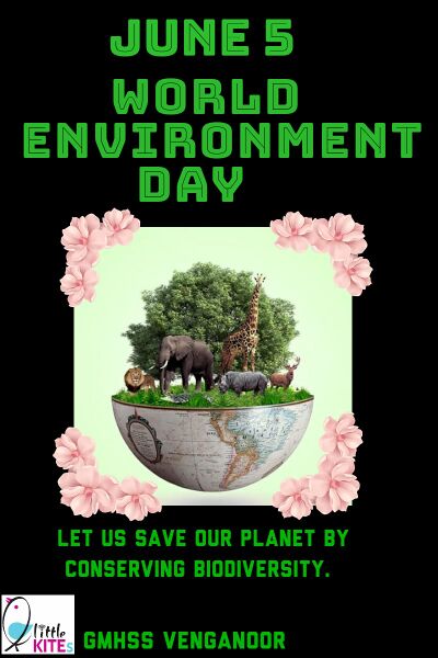 പ്രമാണം:44050 eco 64.jpeg