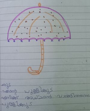 46321-ALP-KUNJ-ALPHONSINA SUNIL.jpeg