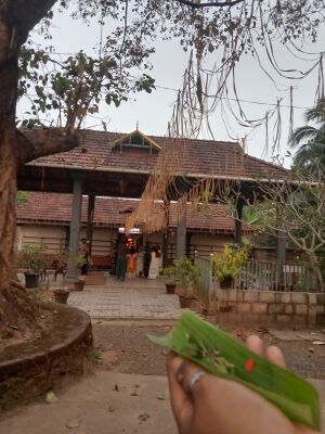 48095 palemad temple.jpeg