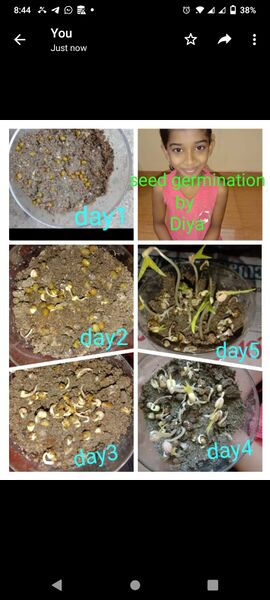 പ്രമാണം:Ashs 19.jpg