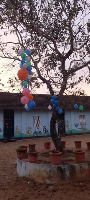 BS21 ALP 35222 5.jpg