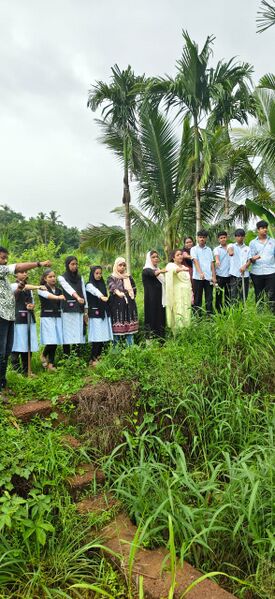 പ്രമാണം:C95736a1-6531-4636-9931-a42c94df7f43.jpg