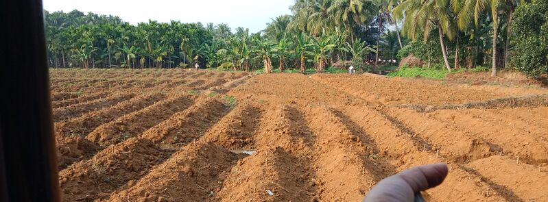 പ്രമാണം:Farm 18452.jpg