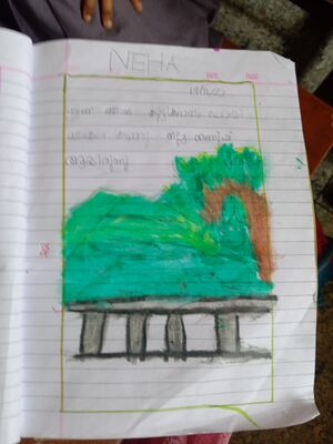 NEHA DIARY.jpg