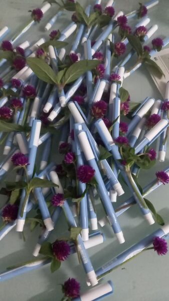 പ്രമാണം:Re opening day.jpeg