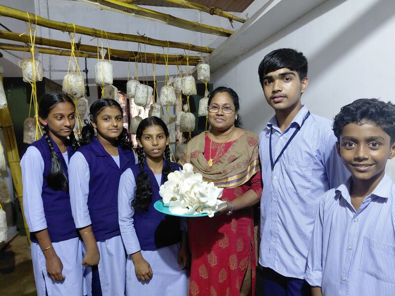 പ്രമാണം:16064 Koonkrishi.jpg