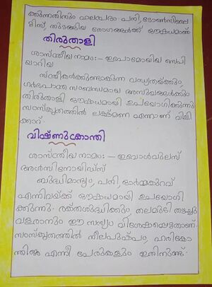 16256 KARKKIDAKAM11.jpg