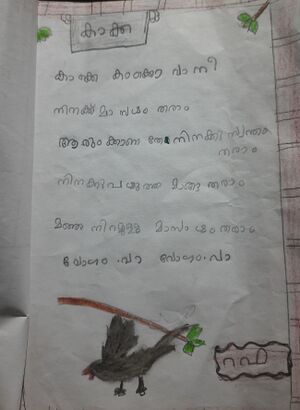 18216-MLP-KUNJ-RAFA 1B.jpg