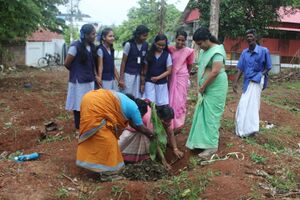 22076 chedi nadal.JPG