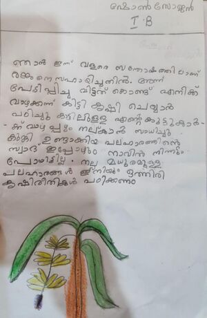 23519-TSR-KUNJ-SHON SOJAN.jpeg