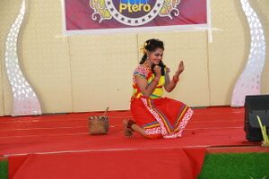 24071-ANNUAL DAY 19.resized.JPG