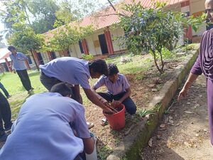 26091 EKM ENVIRONMENT DAY 05JUNE2025 1.jpg